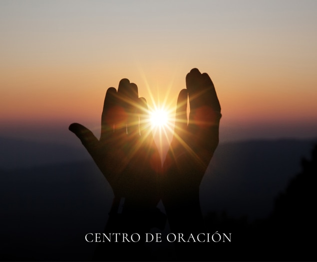 Mesa de trabajo 24